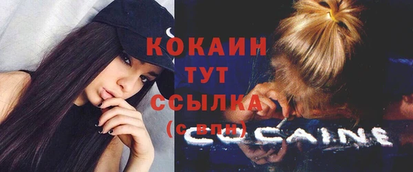 шишки Арсеньев