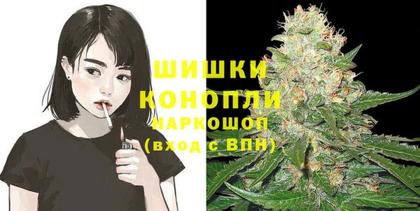 шишки Арсеньев