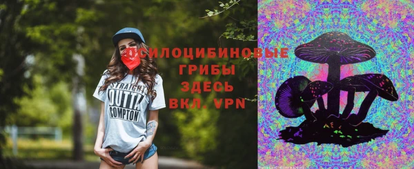 спиды Аркадак