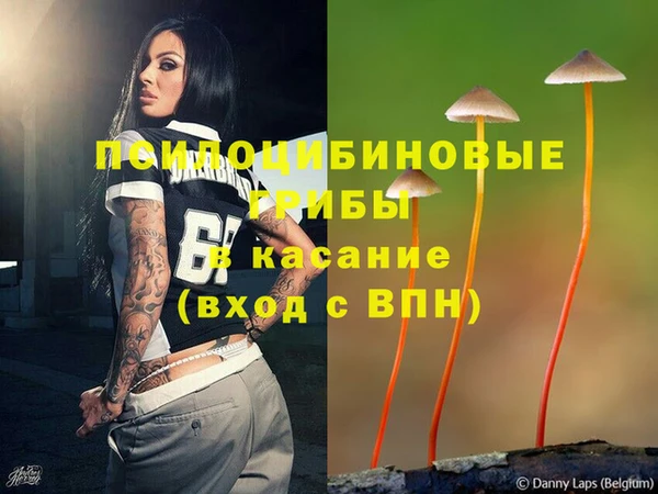 спиды Аркадак
