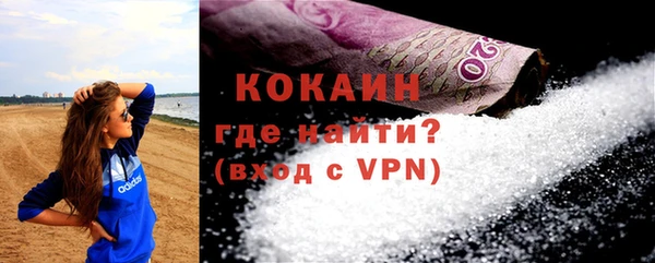 шишки Арсеньев