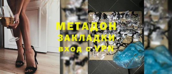 шишки Арсеньев