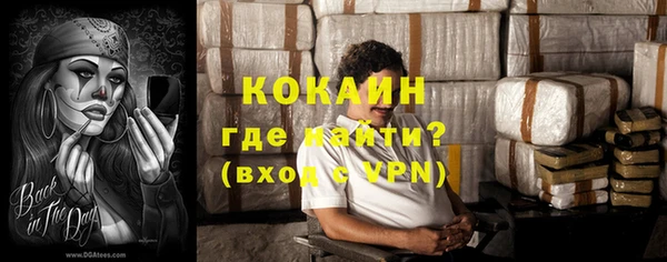 шишки Арсеньев
